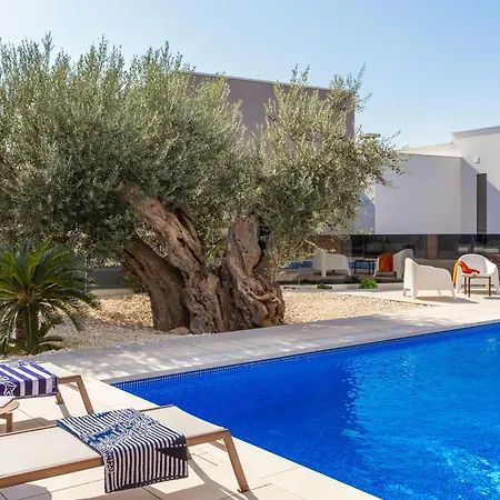 Old Olive V By Interhome Vila Vodnjan